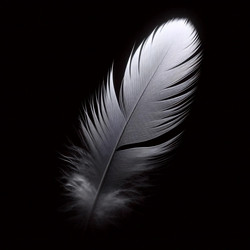 Similar image 22543363