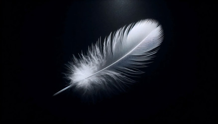 Similar image 22545840