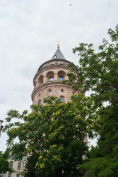 Similar image 22554518