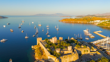 Similar image 22554593