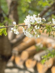 Similar image 22551264