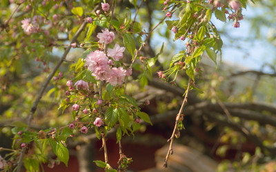 Similar image 22551267