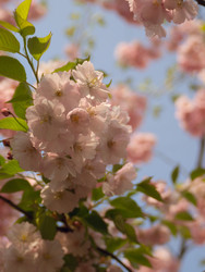 Similar image 22551268