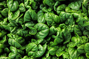 Similar image 22554448