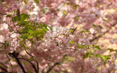 Similar image 22551270