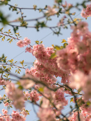 Similar image 22551271