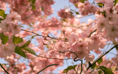 Similar image 22551272