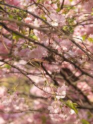 Similar image 22551273