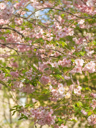 Similar image 22551276