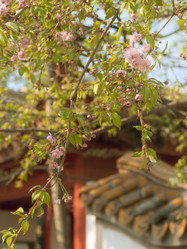 Similar image 22551277