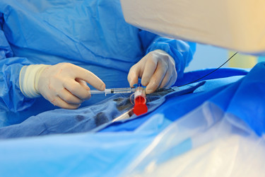 Similar image 22554454