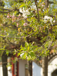 Similar image 22551278