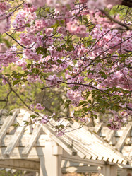 Similar image 22551279