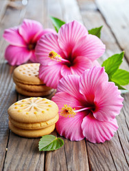 Similar image 22555161