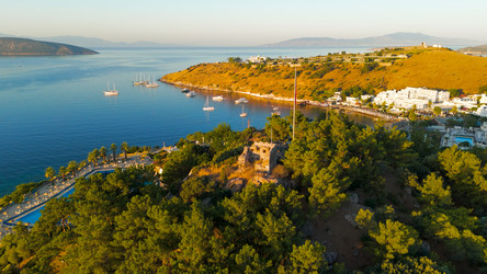 Similar image 22554548