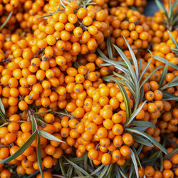 Similar image 22556871