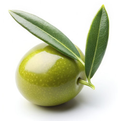 Similar image 22556901