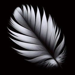 Similar image 22542602