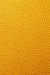 Similar image 22556526