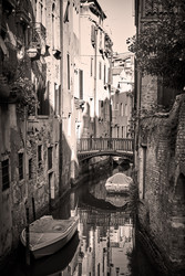 Similar image 22558753