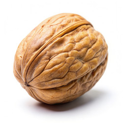 Similar image 22556427