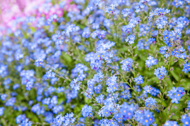 Similar image 22560983