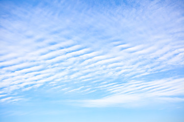 Similar image 22560996