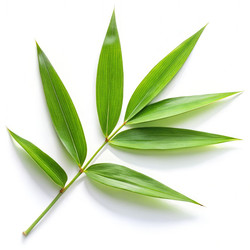 Similar image 22556878