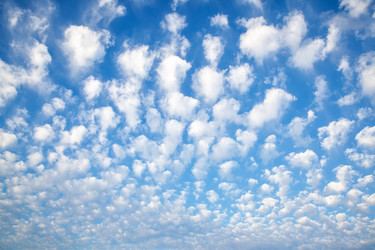 Similar image 22558726