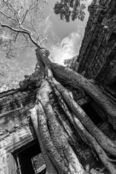 Similar image 22558741