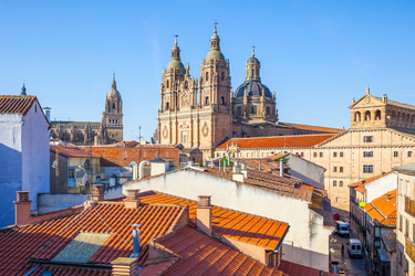 Similar image 22558769