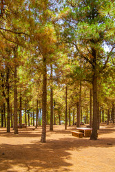 Similar image 22558784