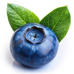 Similar image 22556668