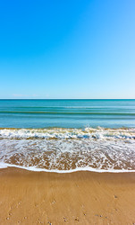 Similar image 22561152