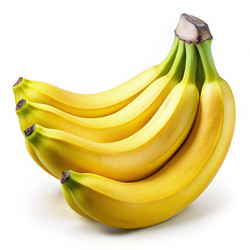 Similar image 22555329