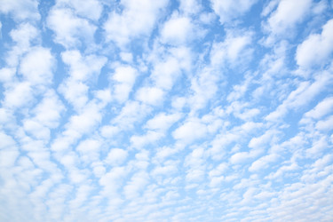 Similar image 22560832