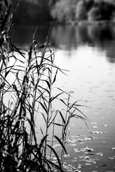 Similar image 22560909