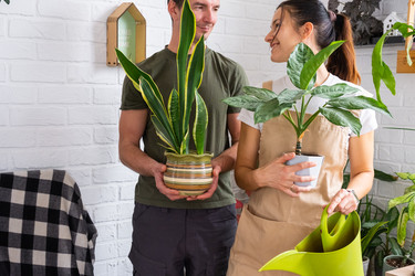 Similar image 22589448