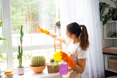 Similar image 22590539