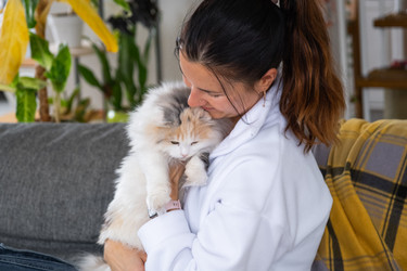 Similar image 22590554