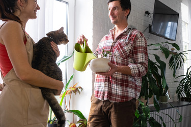 Similar image 22590556