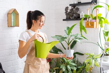 Similar image 22590585