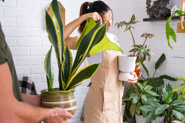 Similar image 22590601