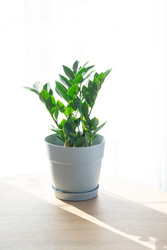 Similar image 22590647