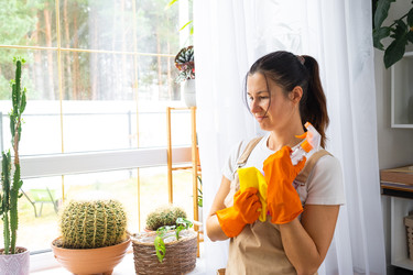 Similar image 22590662