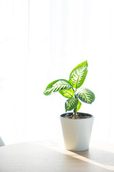 Similar image 22590693