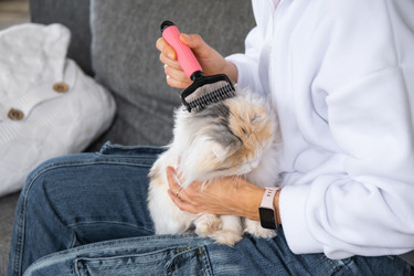 Similar image 22590722