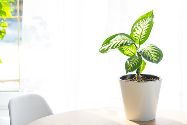 Similar image 22590737