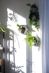 Similar image 22590753