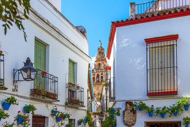 Similar image 22561251